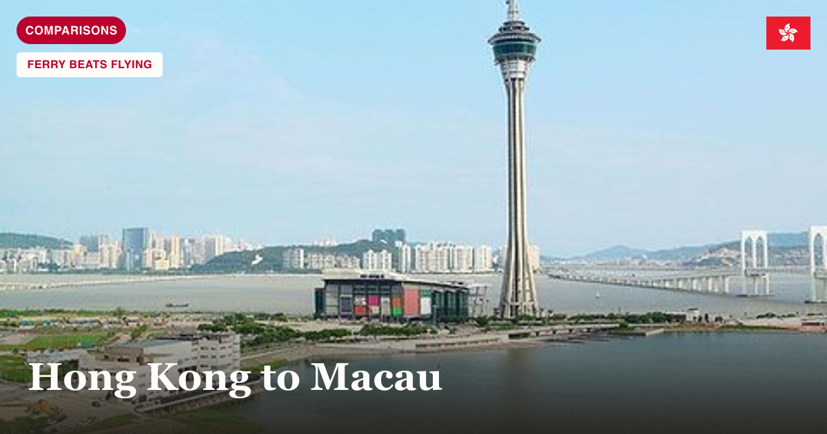 Macau Tower and skyline sightseeing day tour