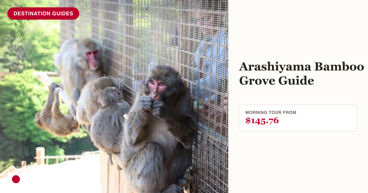 Private Kyoto morning tour of Fushimi Inari and Arashiyama