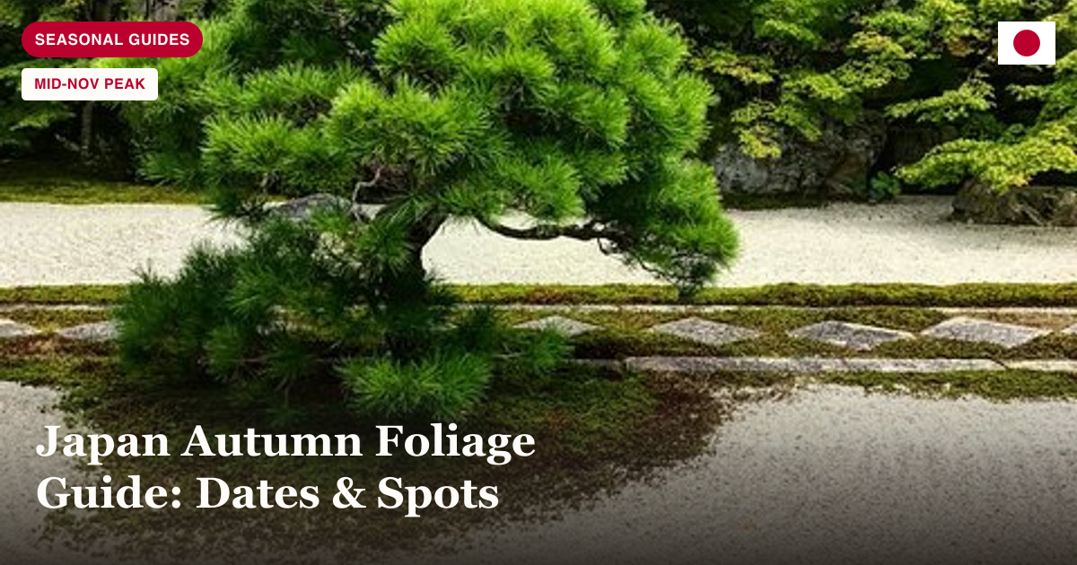 Kyoto Zen Garden, Zen Mind private tour photo