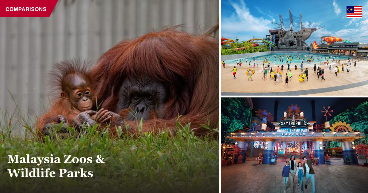 Orangutan and baby, Sunway Lagoon waterpark, and Skytropolis indoor theme park collage