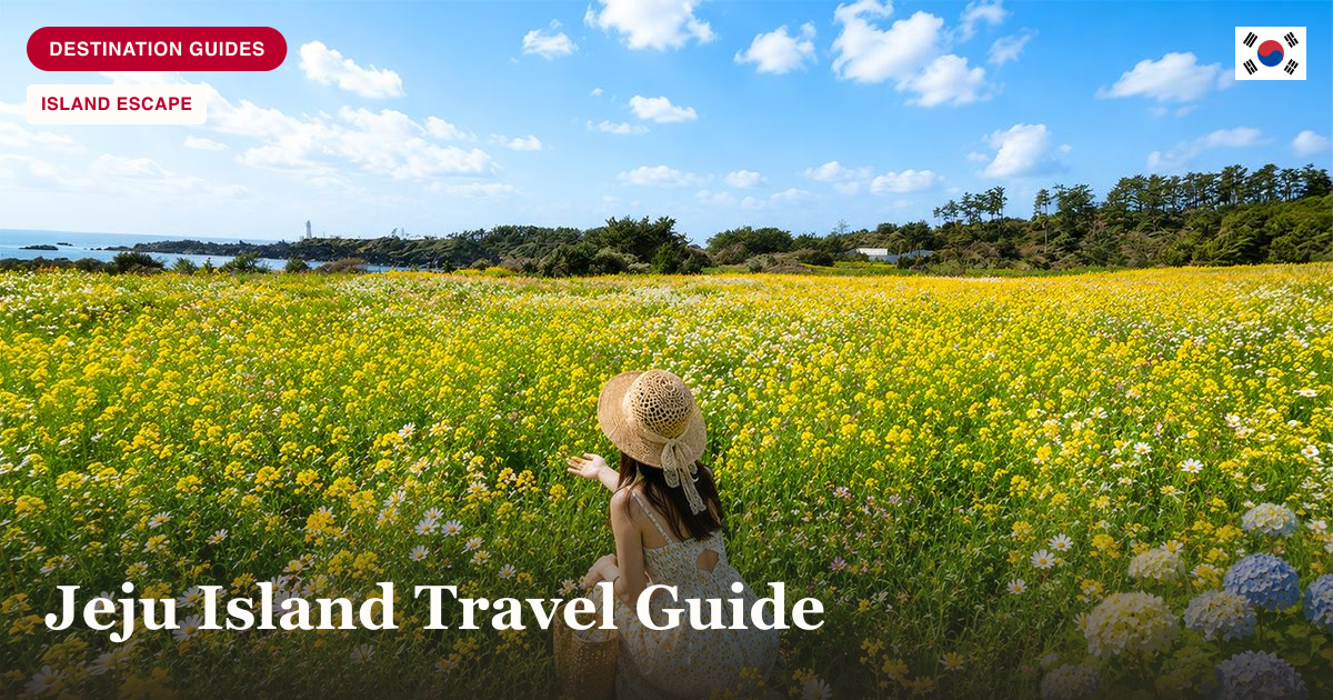 Jeju Island flower field day tour