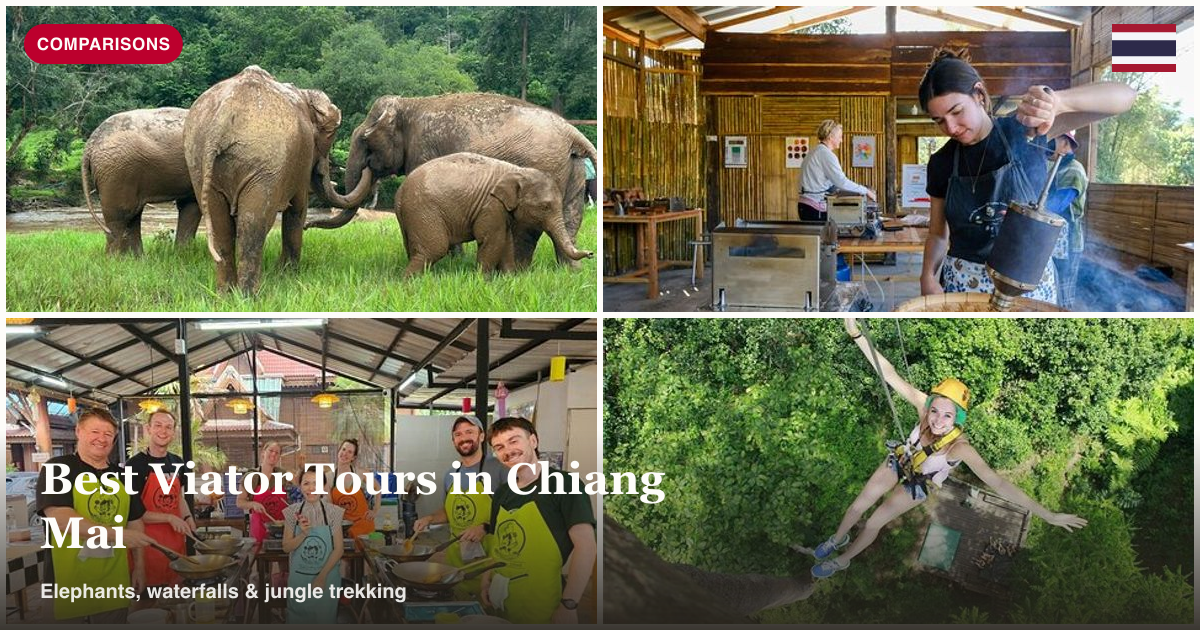 Elephant rafting, hilltribe coffee trek, cooking class, and zipline tour collage