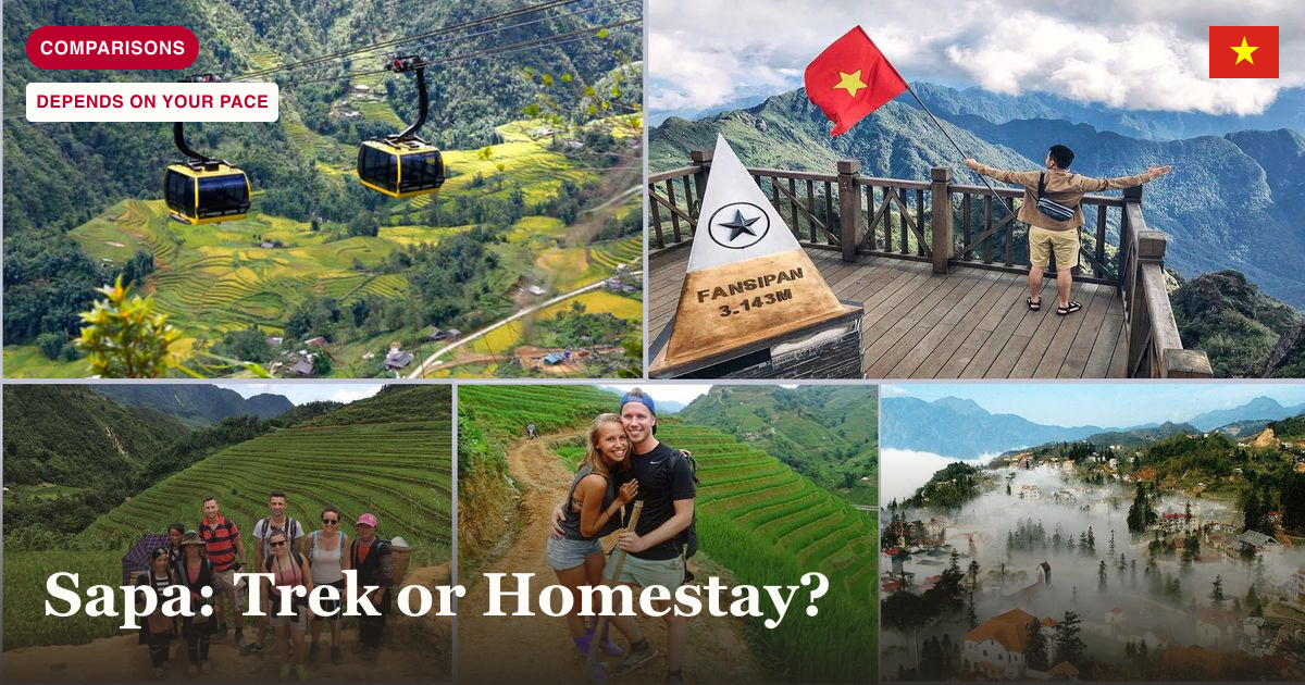 Sapa Ham Rong Mountain and Cat Cat Village trekking tour